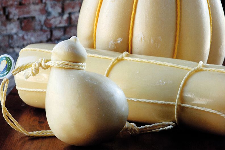 سفری به دنیای پنیر: معرفی بهترین انواع پنیر در جهان