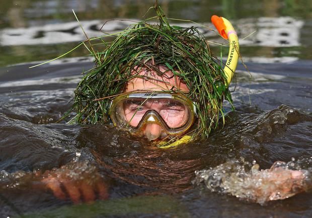 شنا در گنداب (Bog Snorkelling)