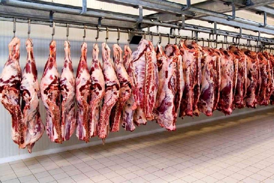 طرح‌‌ تولید قراردادی گوشت قرمز ابلاغ شد 