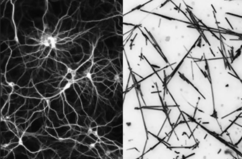  شبکه‌ های نانویی از کابل‌ها می‌توانند مانند مغز انسان یاد بگیرد و به خاطر بسپارد