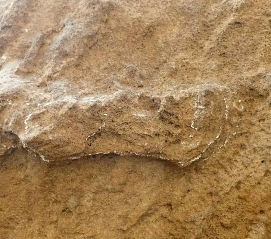  قدیمی‌ترین رد پای انسان در جهان در آفریقای جنوبی کشف شد
