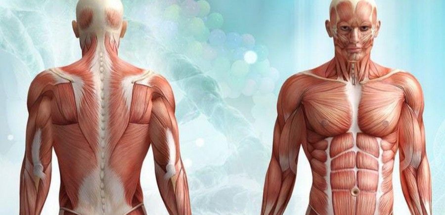 حقایق شگفت انگیز درباره ویژگی های بدن انسان