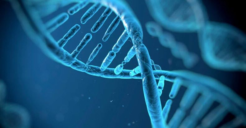 ساخت یک دوربین زیستی برای ذخیره تصاویر بر روی DNA