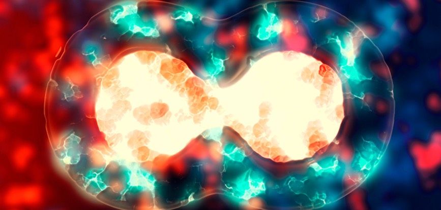 تحقیقات جدید در مورد وجود زمینه شیزوفرنی از لحظات اول زندگی در مغز 