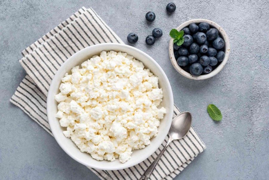 خواص تغذیه‌ ای و پروتئینی پنیر کاتیج: منبعی سالم و مفید در ارتقای سلامت