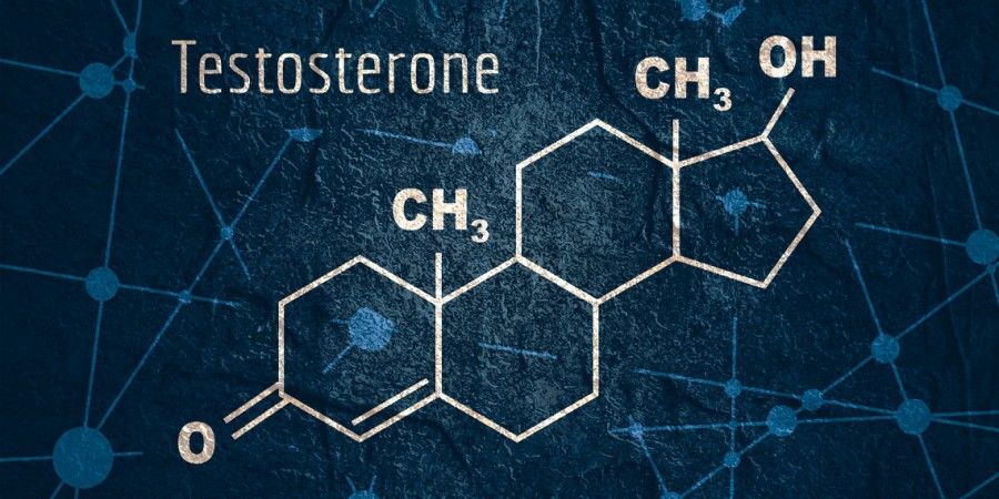 هورمون تستوسترون: نقش، عملکرد و اهمیت هورمون جنسی مردانه در سلامت بدن