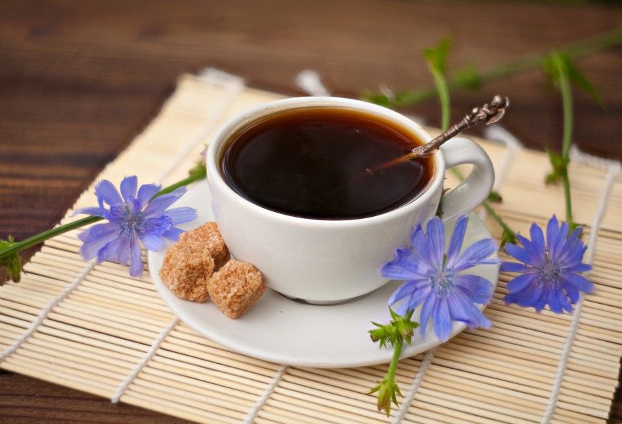 جایگزینی سالم برای قهوه: آشنایی با طعم های متفاوت و خاص