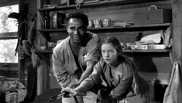 جوان 1960 The Young One