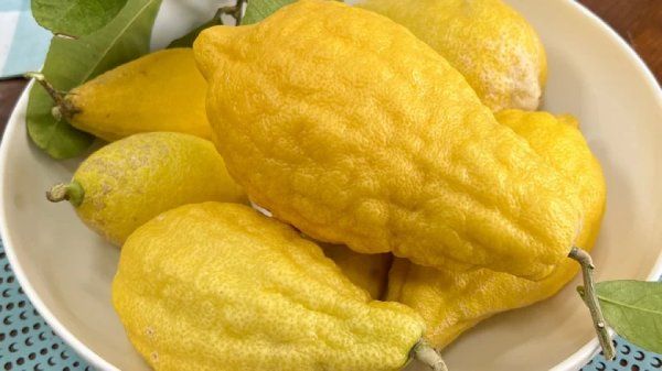 آشنایی با خواص بینظیر بالنگ