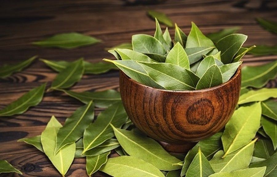آشنایی با انواع ادویه و خواص بی نظیر آن ها 