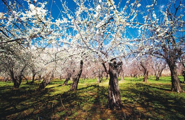 10 مکان فوق العاده و خنک برای سفرهای تابستانی 