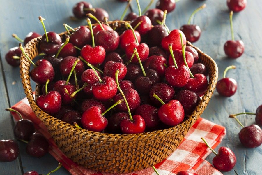 چه کسانی نباید آلبالو بخورند؟! مضررات آلبالو 