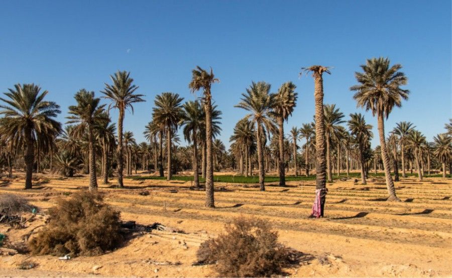 10 مورد از گرم ترین نقاط جهان، در کجا قرار دارند؟ 