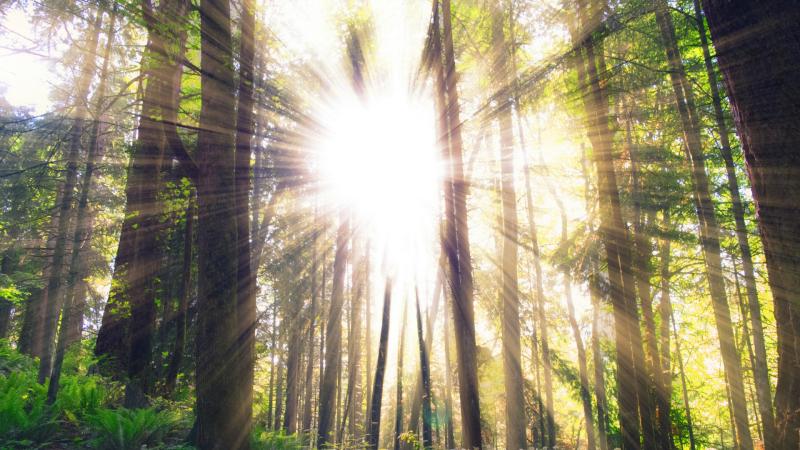 هر آنچه باید درباره شاخص UV یا همان شاخص اشعه فرابنفش بدانید 