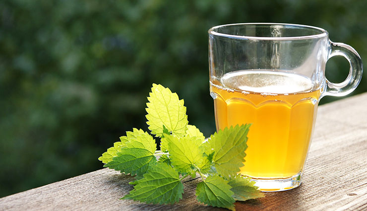 گزنه: گیاهی با ۱۶ خاصیت شگفت انگیز و سرشار از ویتامین D