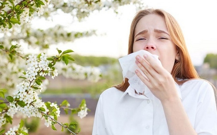 آلرژی فصلی و عطسه های بهاری: چگونه آن را کنترل کنیم؟