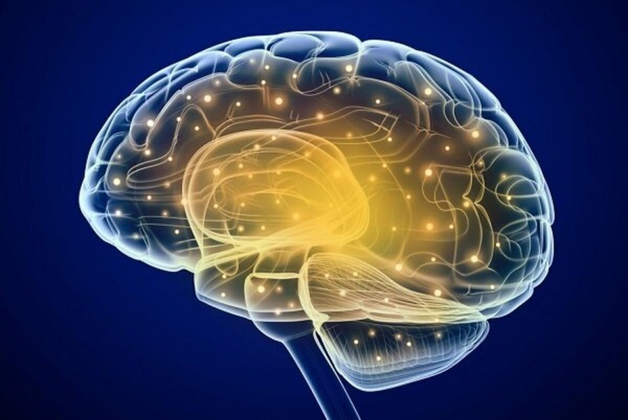 مغز شما چه زمانی شروع به پیر شدن می کند؟