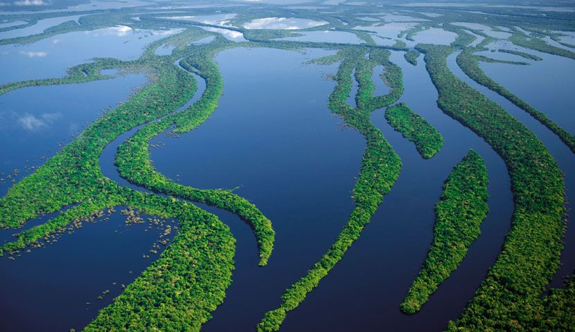  رودخانه آمازون