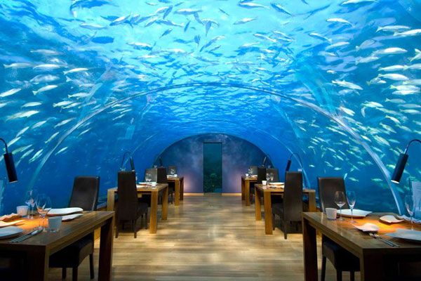 رستوران زیر آبی ایتا مالدیو 