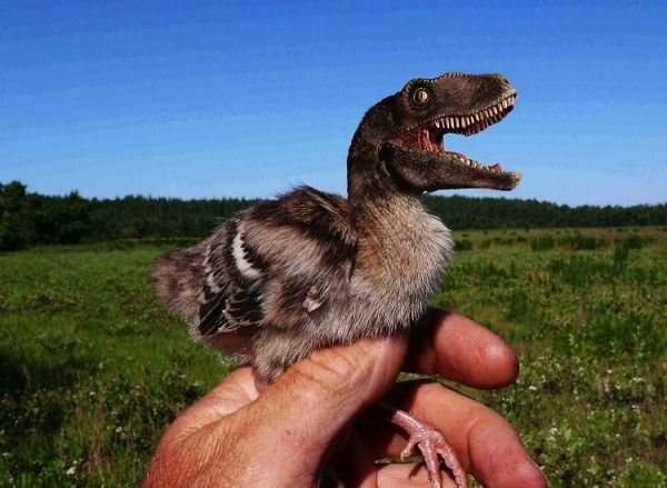 دایناسور ترسناک با ظاهری متفاوت 