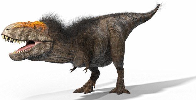 شاید همه ی دایناسورها ابتدا پر داشته اند و بعضی از آنها در مسیر رشد به مرور فلس دار  شده اند   