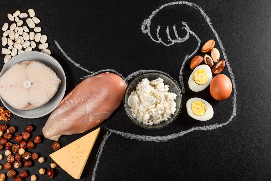 میزان مصرف درست پروتئین در رژیم غذایی روزانه