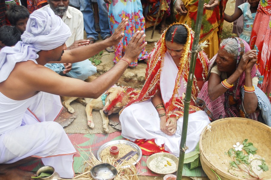 رسم ازدواج دختر با سگ  در هند برای خوش شانسی