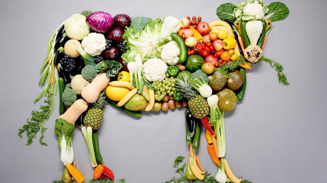 رژیم غذایی گیاهخواری