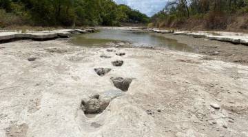 خشکسالی رد پای ۱۱۳ میلیون ساله دایناسور را آشکار کرد
