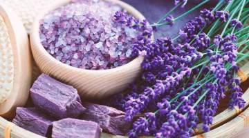 با این گیاهان، استرس را به سادگی پشت سر بگذارید